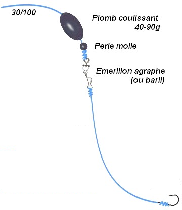 appâts et montages daurade