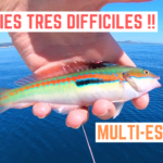 Le poisson est très difficile - 24 mai 2020
