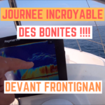 Bonites entre Sète et Frontignan - 16 septembre 2020