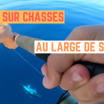 Pêche sur chasses au large de Sète - 23 septembre 2020