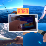 Bilan 2020, début calme et fin intense - 18 décembre 2020