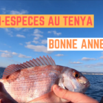 Bonne année ! Sortie tenya avec des crevettes - 05 janvier 2021