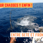 Thons sur chasses ! De Sète à Frontignan - 27 août 2021