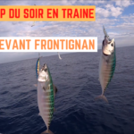 Sortie traine improvisée sur coup du soir - 20 août 2021