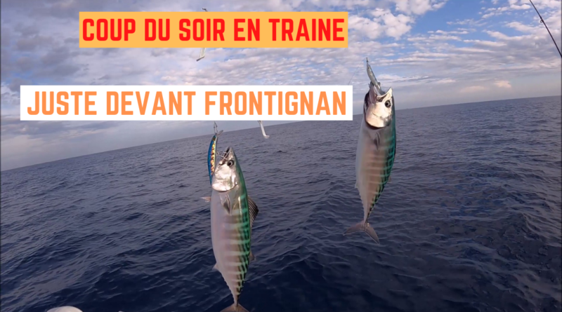 traine bonite frontignan