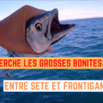 Mais où sont les grosses bonites ?! - 27 septembre 2021