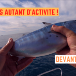 Toujours autant d'activité devant Sète ! - 01 octobre 2021