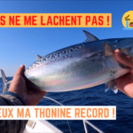 Les thons ne me lâchent plus ! - 27 octobre 2021