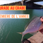 Daurade au crabe - 11 mai 2022