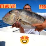 Gros denti au vif - 02 août 2022