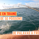 Traine de Frontignan à Palavas, plus de 50 poissons ! - 13 septembre 2022