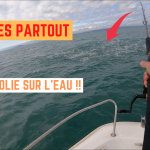 Journée extraordinaire avec les bonites - 29 octobre 2023