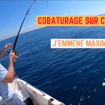 Cobaturage sur chasses - 18 septembre 2024