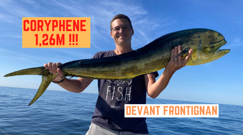 coryphene frontignan