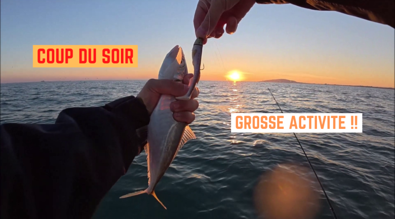 coup du soir frontignan