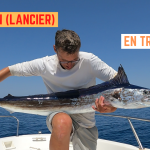 Espadon (lancier) en traine - 29 juillet 2024
