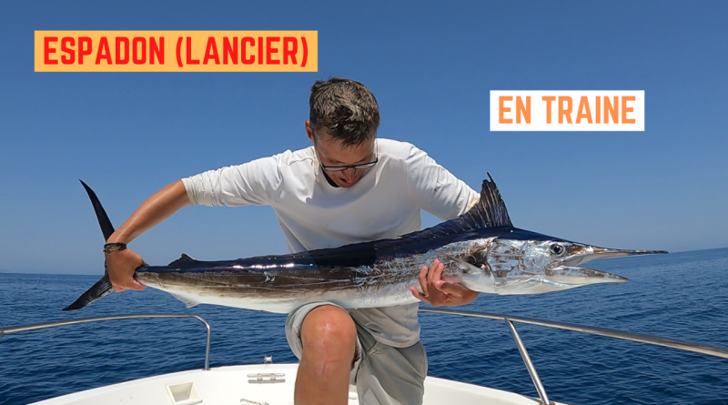 espadon lancier frontignan sete