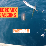 Maquereaux et Gascons - 28 juin 2023