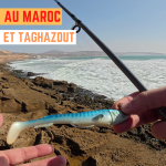 Maroc (Agadir & Taghazout) - 7 février 2025