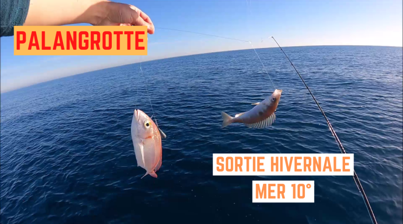 palangrotte frontignan sete pageot daurade