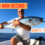 Record de bonite - 22 août 2023