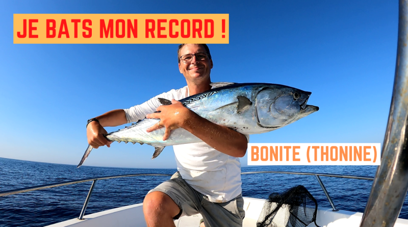 thonine bonite frontignan palavas