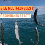 Multi-Espèces entre Frontignan et Sète - 28 avril 2025