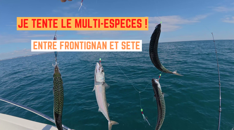 maquereaux frontignan sete