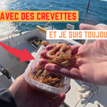 Pêche à la crevette crue Pexeo devant Frontignan - 1 décembre 2025 Pêche à la crevette crue Pexeo devant Frontignan - 1 décembre 2025