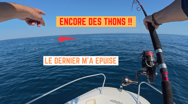 thon chasse sete frontignan