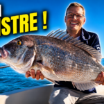 denti frontignan sete