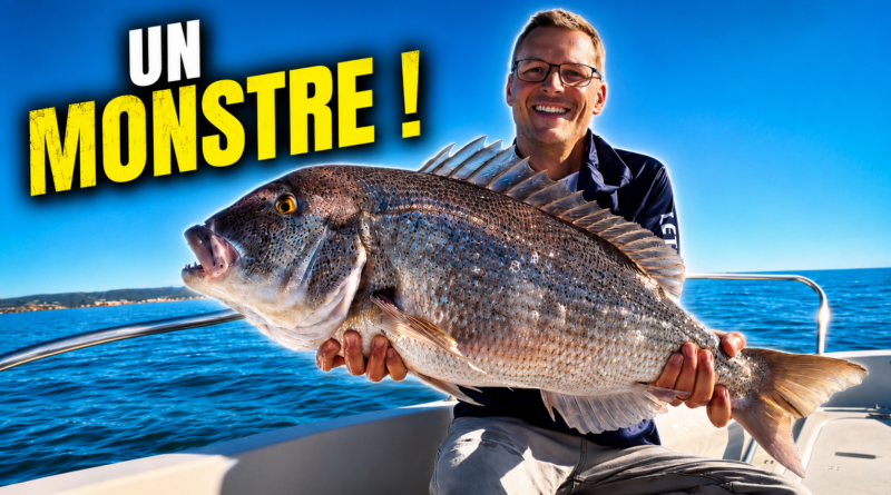 denti frontignan sete