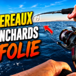 Les MAQUEREAUX et CHINCHARDS sont CHAUDS maquereau chinchard gascon frontignan