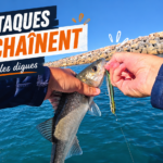 peche leurre patchinko 125 bar loup