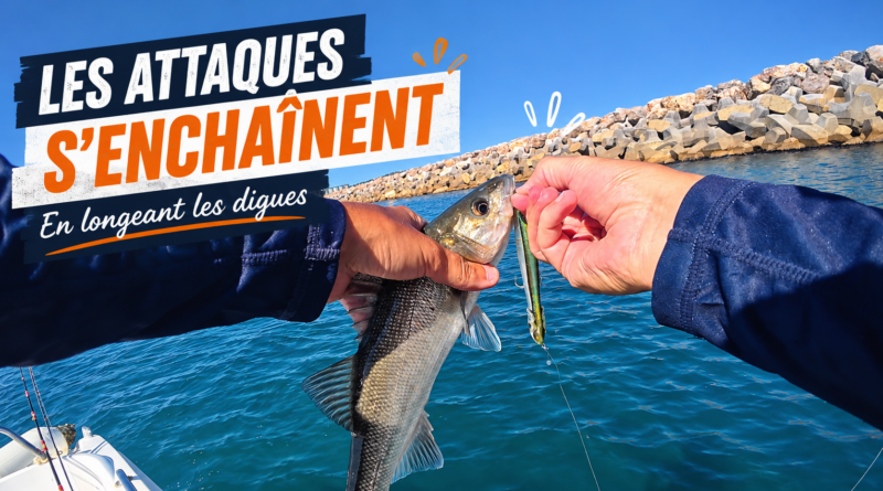 peche leurre patchinko 125 bar loup