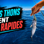 Les PETITS THONS étaient TROP RAPIDES peche thon patchinko 125